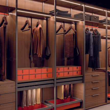 Walk-in Closet with Wall