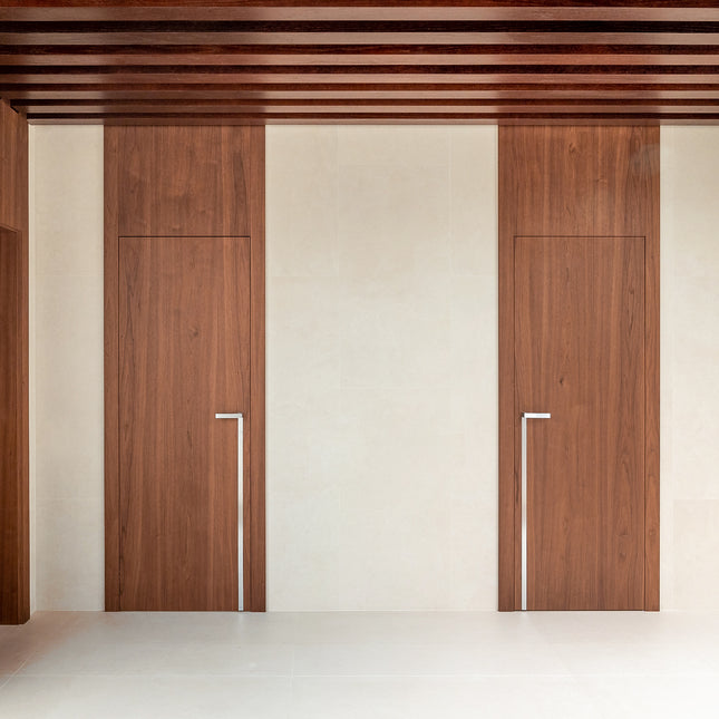 Modern Doors